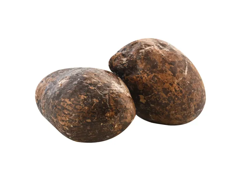 000000000009444800-KG-02