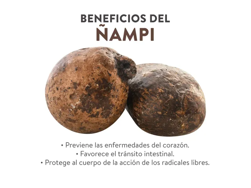 000000000009444800-KG-03