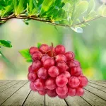 000000000009414070-KG-03