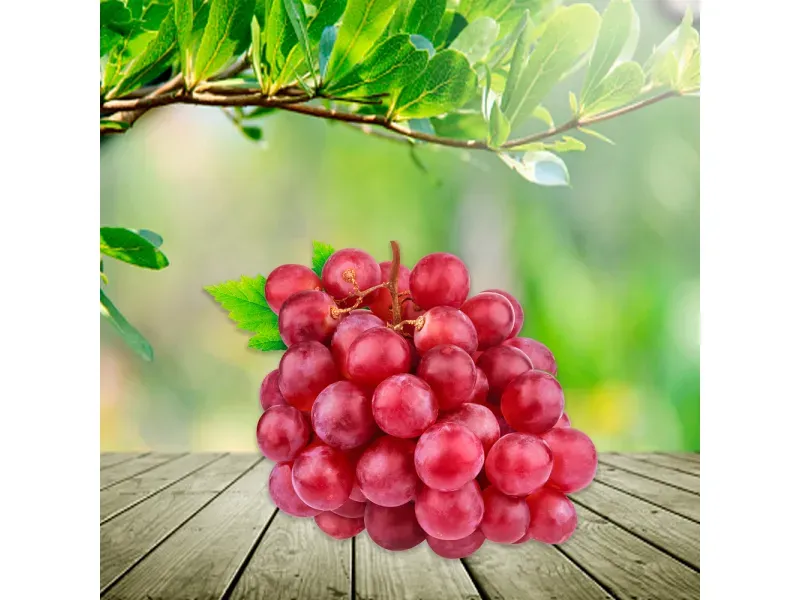 000000000009414070-KG-03