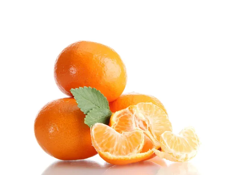 000000000009437569-KG-02