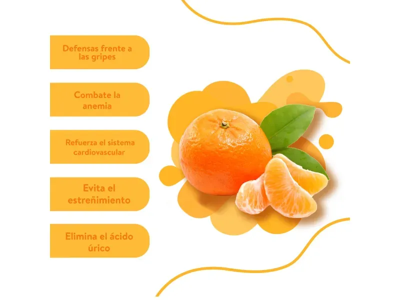 000000000009437569-KG-03