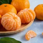 000000000009437569-KG-04