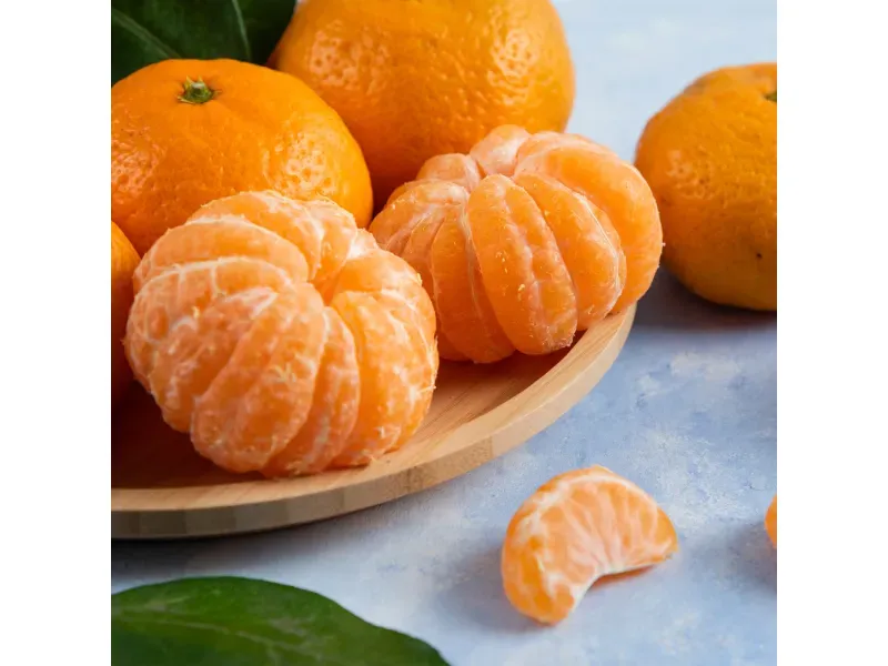 000000000009437569-KG-04