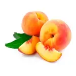 000000000009401988-KG-01