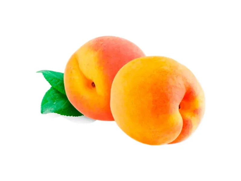 000000000009401988-KG-02