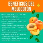 000000000009401988-KG-03