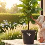 000000000070153937-UN-04