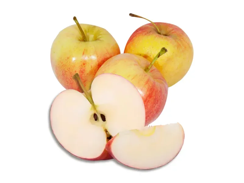 000000000009413972-KG-01