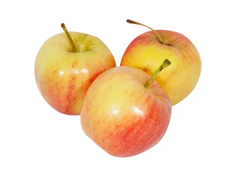 000000000009413972-KG-02