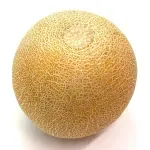 000000000070240176-KG-03