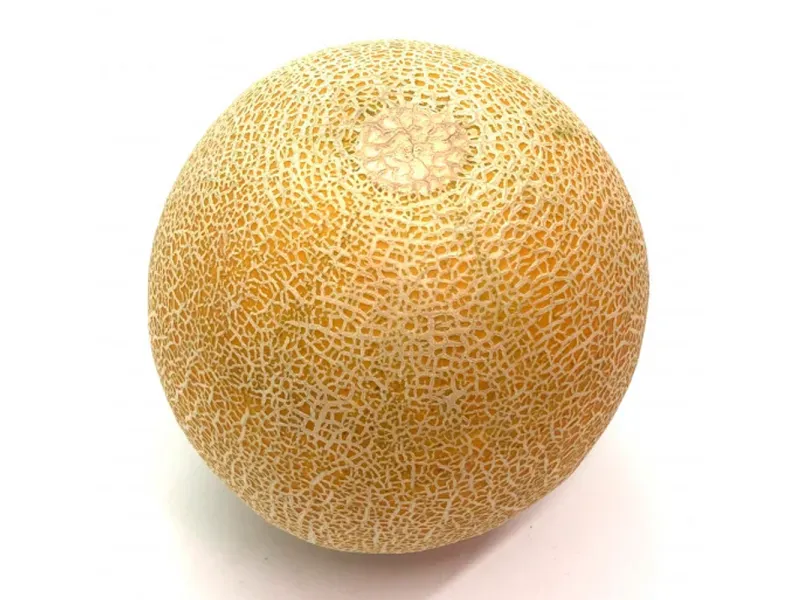 000000000070240176-KG-03