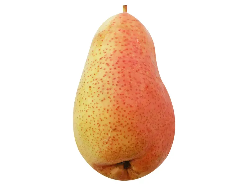 000000000009414042-KG-02