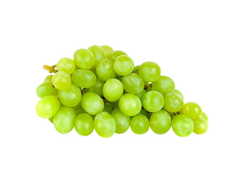 000000000009414105-KG-01