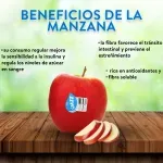 000000000075396566-UN-03