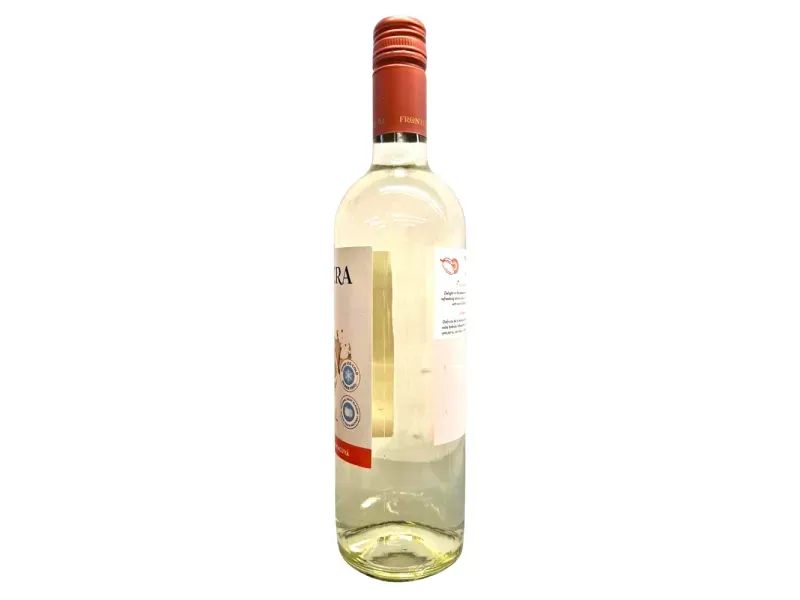 000000000075397693-UN-04