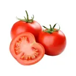 000000000075268254-KG-01