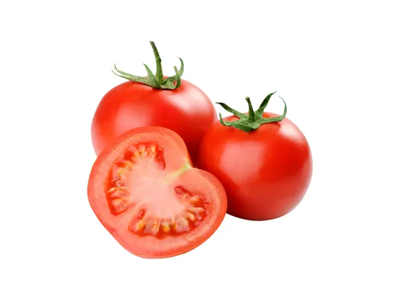 000000000075268254-KG-01