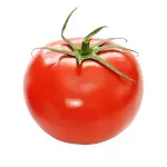 000000000075268254-KG-02