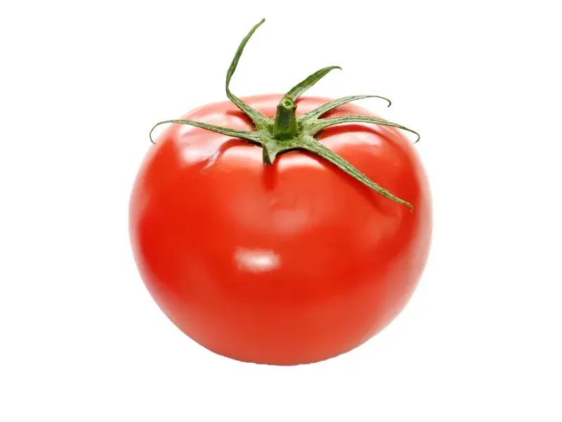 000000000075268254-KG-02