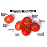 000000000075268254-KG-03