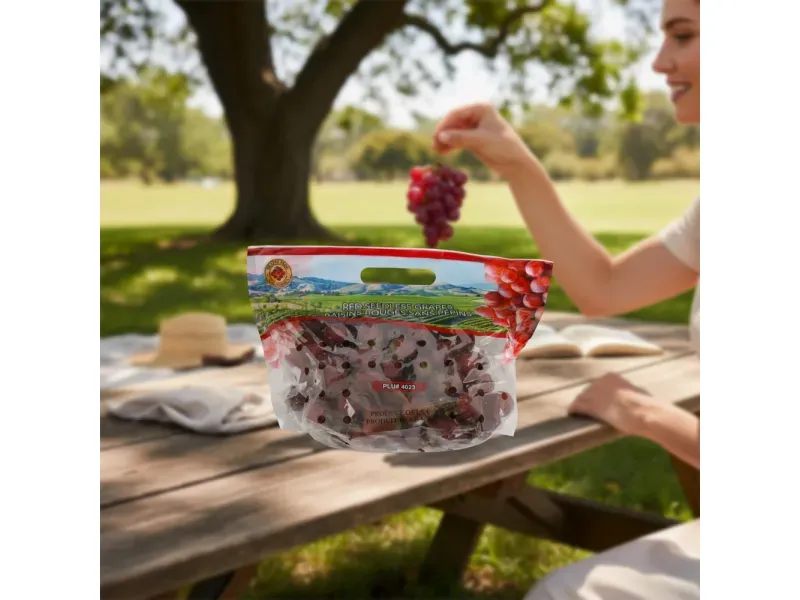 000000000070233347-KG-04