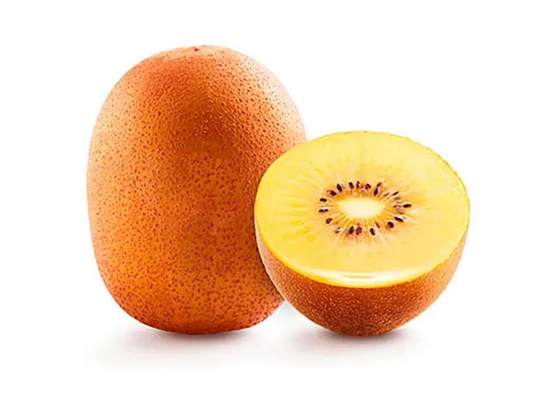 000000000009401932-KG-01