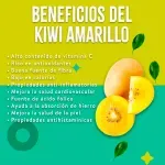 000000000009401932-KG-03