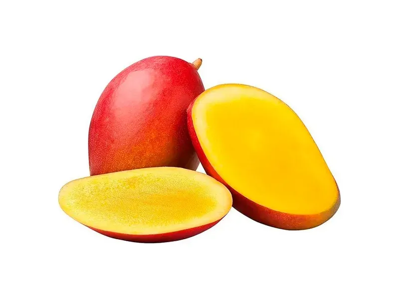 000000000075105736-KG-01