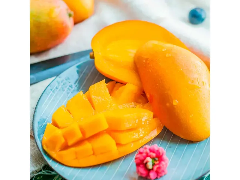 000000000075105736-KG-04