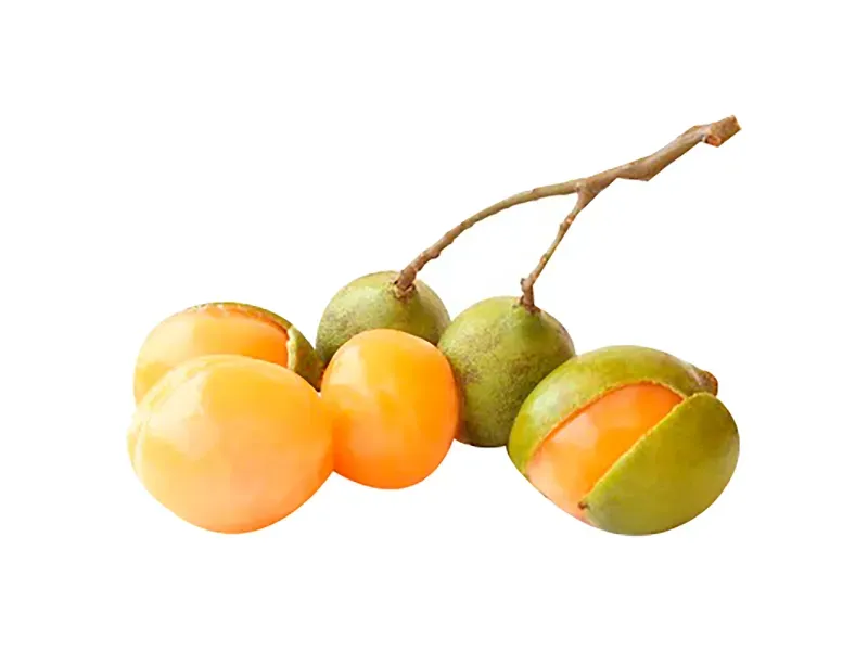 000000000009449532-KG-01