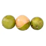 000000000009449532-KG-02