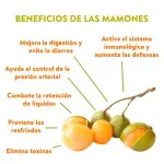 000000000009449532-KG-03