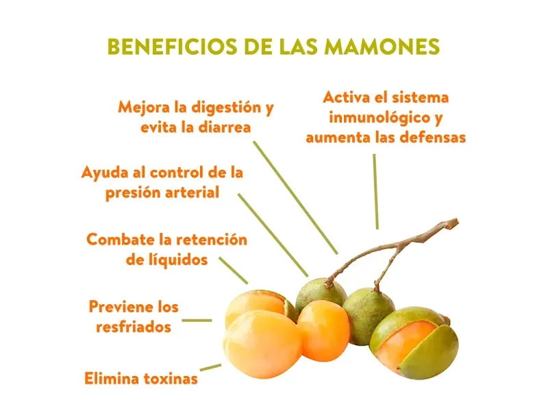 000000000009449532-KG-03