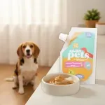 000000000075180027-UN-05