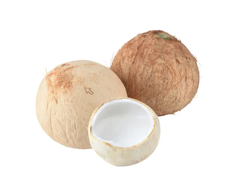 000000000075438056-UN-01