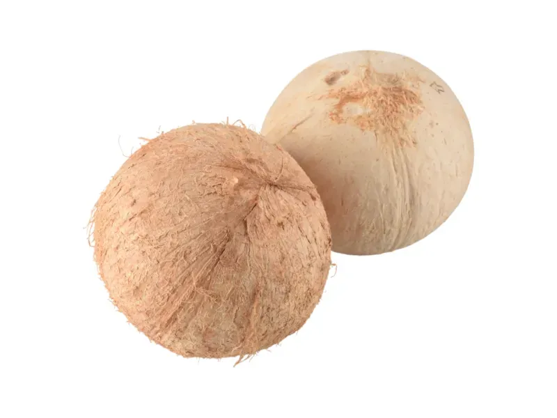 000000000075438056-UN-02