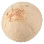 000000000075438056-UN-03