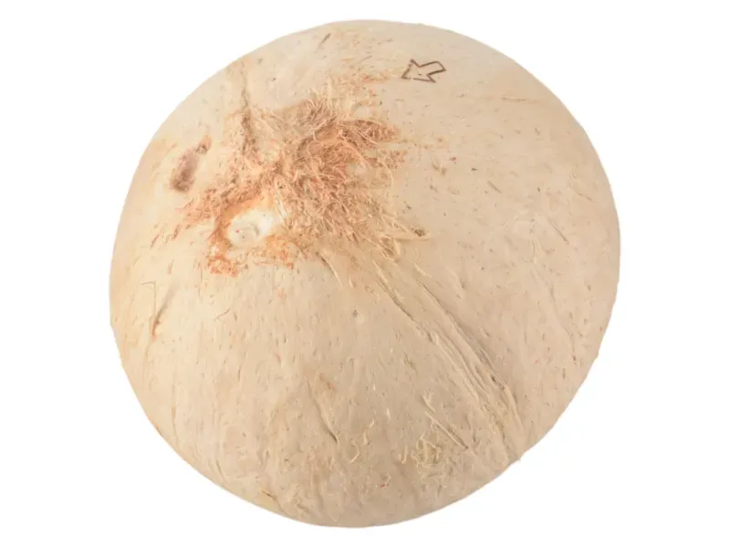 000000000075438056-UN-03