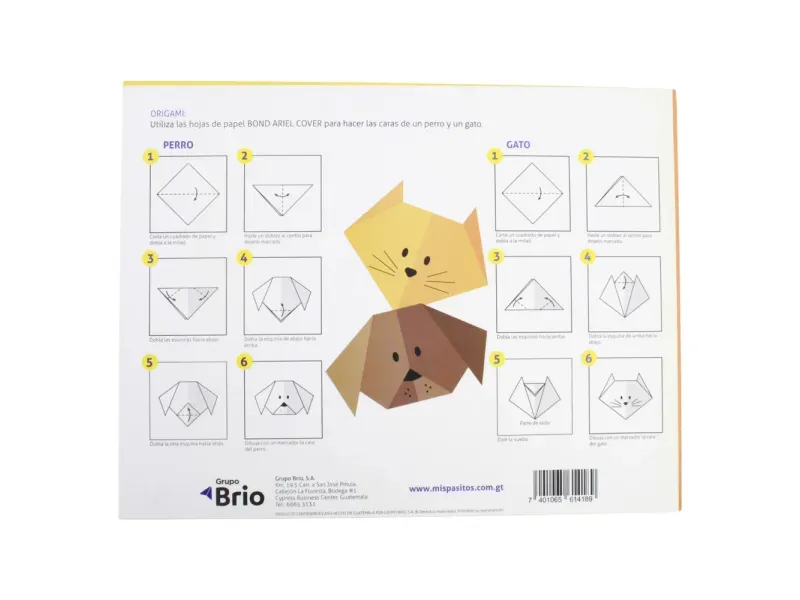 000000000070674403-UN-02