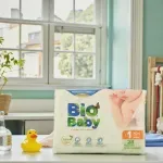 000000000075228224-UN-06