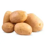 GTIN-0000000040839-02