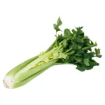 000000000009401673-KG-01