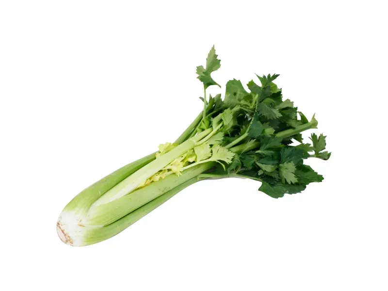 000000000009401673-KG-01