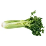 000000000009401673-KG-02