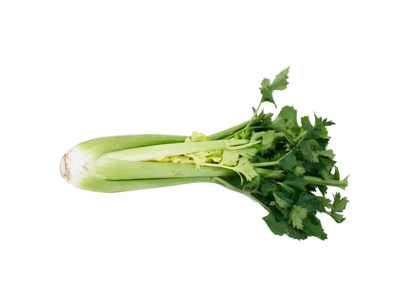 000000000009401673-KG-02