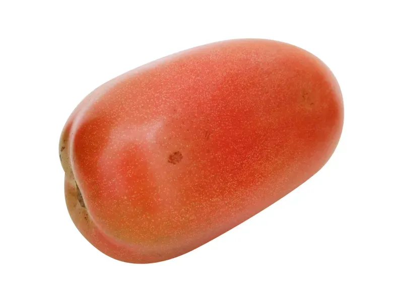 000000000075268253-KG-01