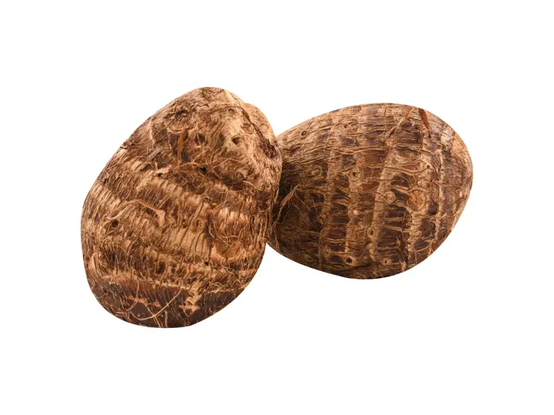 000000000009420986-KG-02