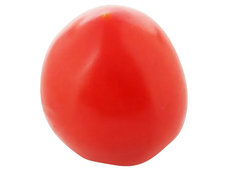 000000000070130338-KG-02