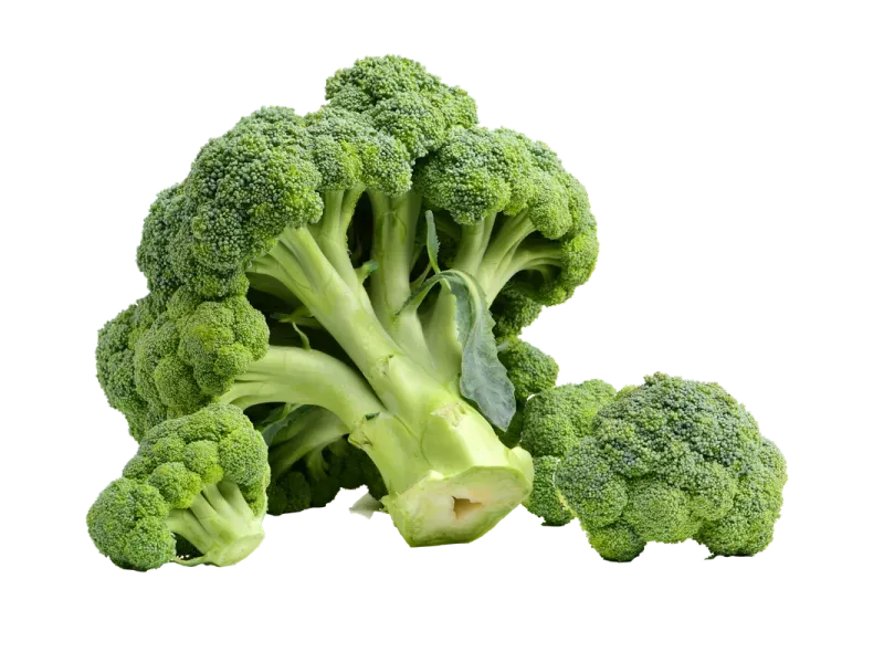 000000000009421000-KG-01